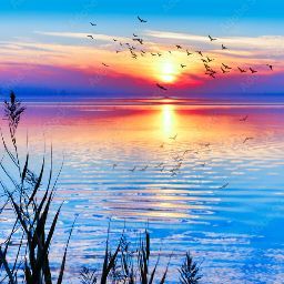 Anabel Rocha Photo 15