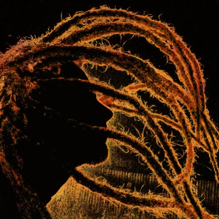 William Kirkland Photo 21