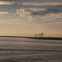 Debbie Traylor Photo 9