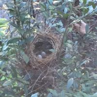 Susan Sachs Photo 31