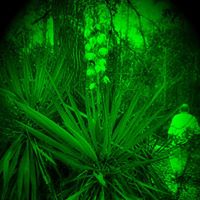 Julia Dawson Photo 31 Julia Dawson Photo 31