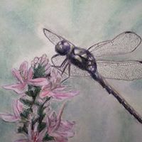 Suzanne Streeter Photo 12