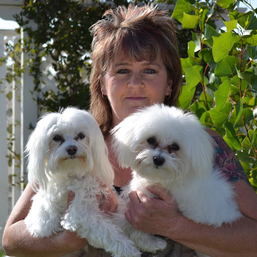 Tracy Hamilton Photo 28
