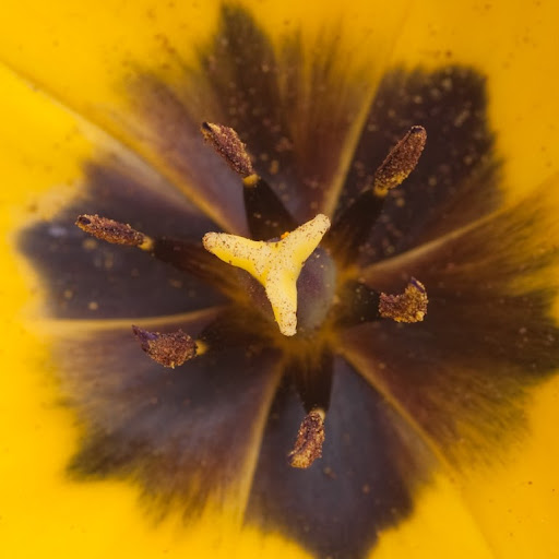 Jonathan Michaels Photo 32