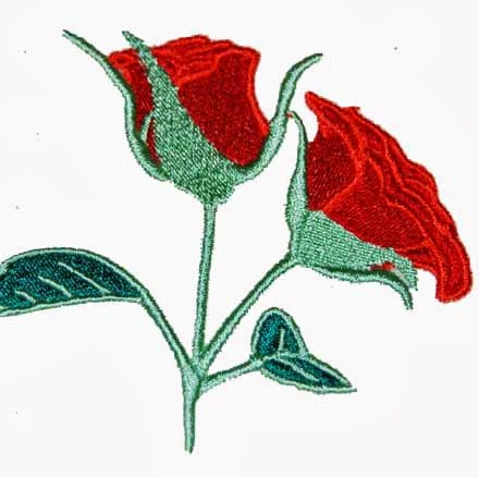 Vickie Hopkins Photo 6