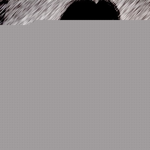 Judy Parker Photo 10