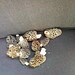 Melissa Morel Photo 30