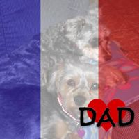 Jessie Armstrong Photo 29