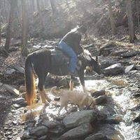 Michael Chisolm Photo 19