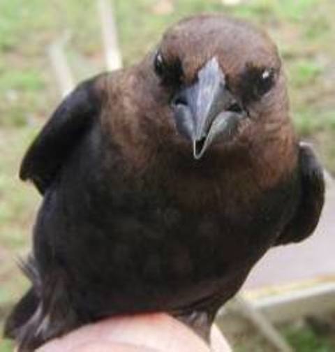 Christine Ritchie Photo 26