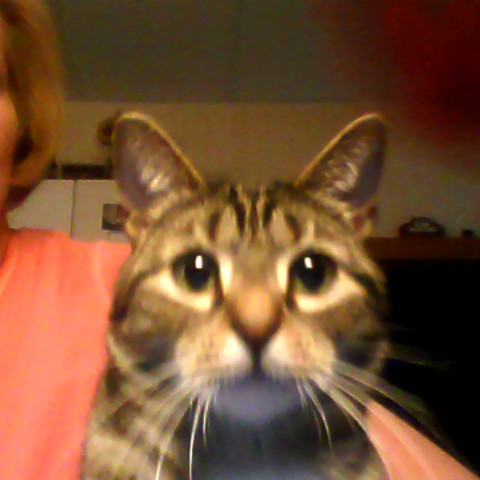 Julie Kauffman Photo 11