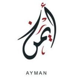 Ayman Hosny Photo 15