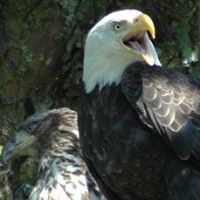 Susan Wieland Photo 19