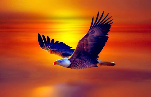 Minh Truong Photo 14