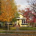William Ellis Photo 32