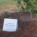 Sally Rawlins Photo 12