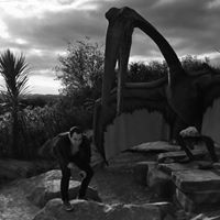 Robert Johnston Photo 10