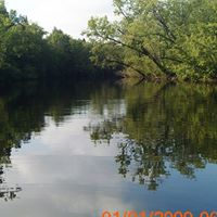 Edward Kidd Photo 10