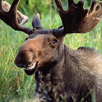 Mark Winters Photo 20