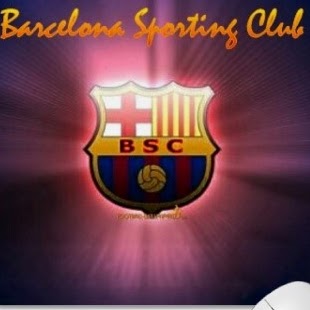 Nelson Castillo Photo 23