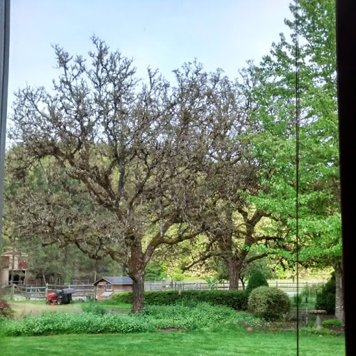 Chris Sherman Photo 49