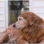 Cindy Staley Photo 22