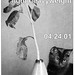 April Ingersoll Photo 7