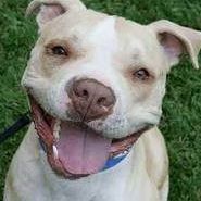 Traci Jensen Photo 26