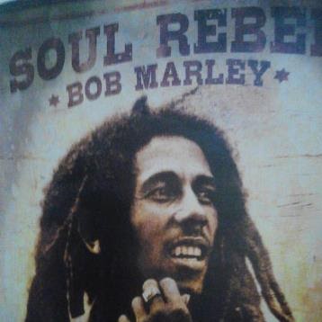 Max Stewart Photo 10