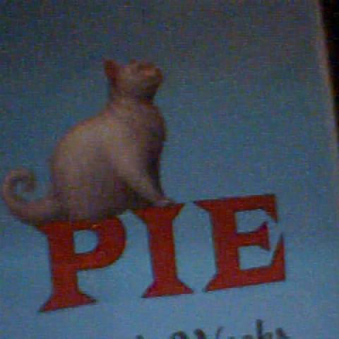 Julie Barone Photo 12