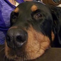 Carolyn Block Photo 19 Carolyn Block Photo 19