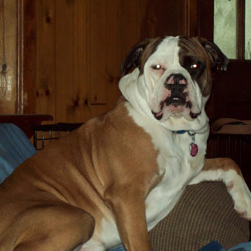 Michael Gauthier Photo 52 Michael Gauthier Photo 52