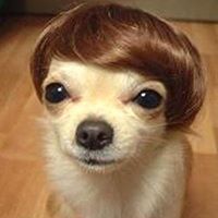 Dan Sylvester Photo 30