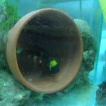 Ross Bailey Photo 38