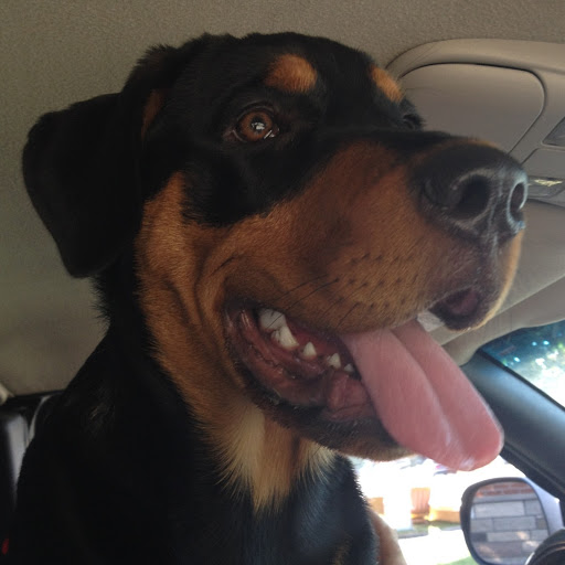 Michelle Paradis Photo 30