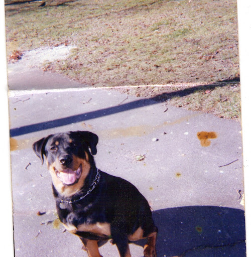 Beverly Johnson Photo 55