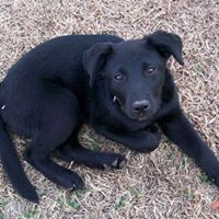 Stacy Vance Photo 15