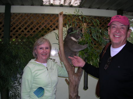 Patricia Webb Photo 6
