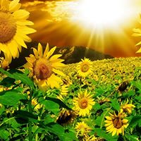 Samantha Curcio Photo 7