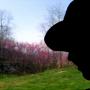 Jennifer Skaggs Photo 24
