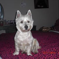 Daphne Bailey Photo 19