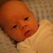 Lee Judson Photo 5