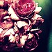 Nell Rose Photo 15