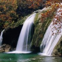 Andre Singleton Photo 19