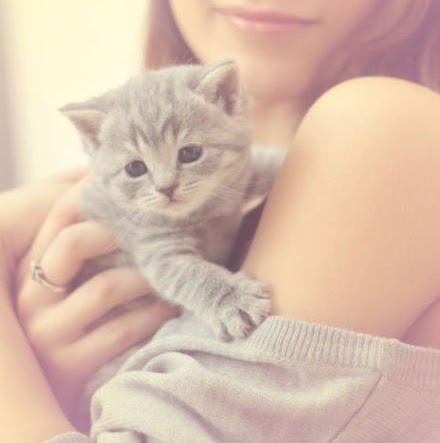 Katherine Kessler Photo 12