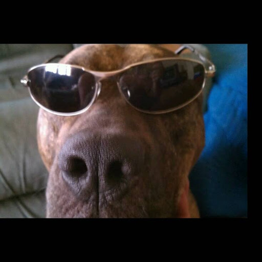 Richard Pettit Photo 24