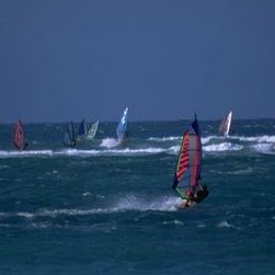 Stephen York Photo 30