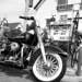 Cheri Harley Photo 5