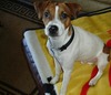 Gary Schneider Photo 14