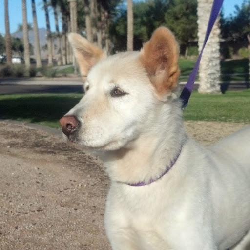 Alison Hamilton Photo 38